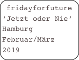 fridayforfuture
‘Jetzt oder Nie‘
Hamburg
Februar/März 2019